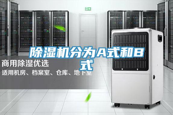 小黄片直播视频分为A式和B式