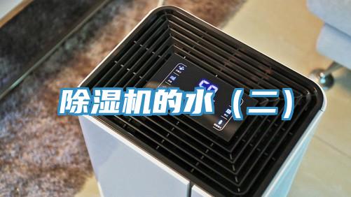 小黄片直播视频的水（二）