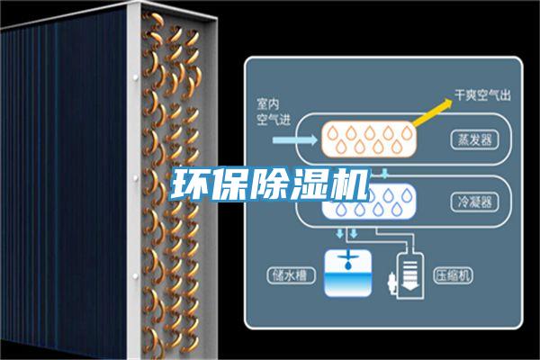 环保小黄片直播视频