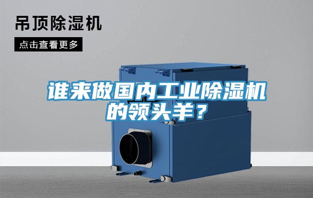谁来做国内工业小黄片直播视频的领头羊？