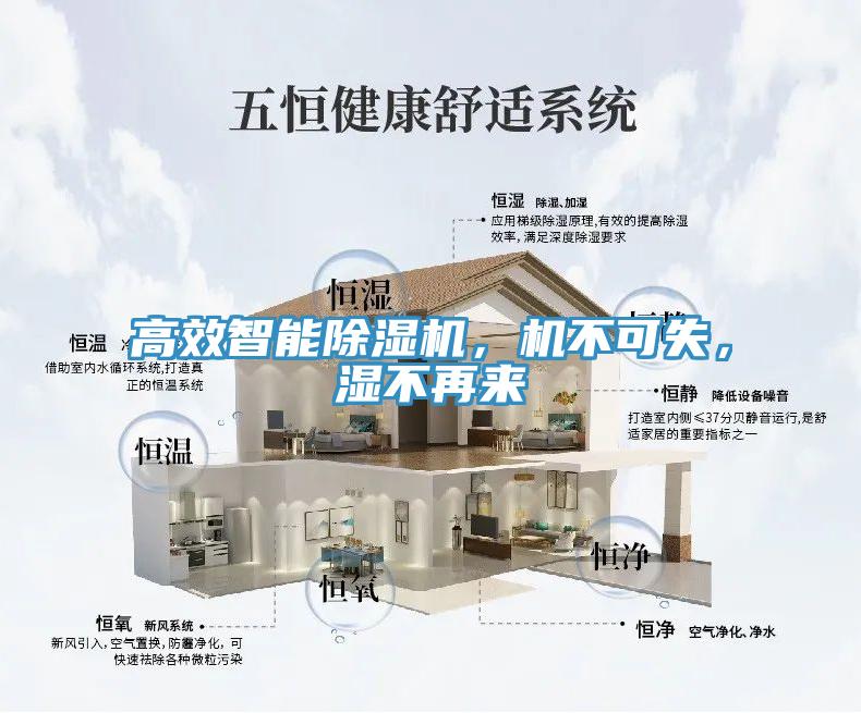 高效智能小黄片直播视频，机不可失，湿不再来