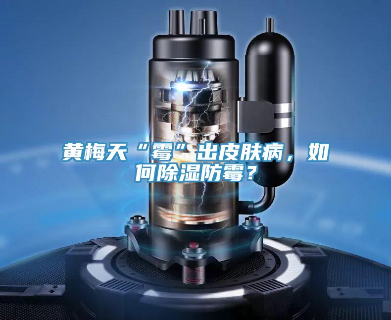 黄梅天“霉”出皮肤病，如何除湿防霉？