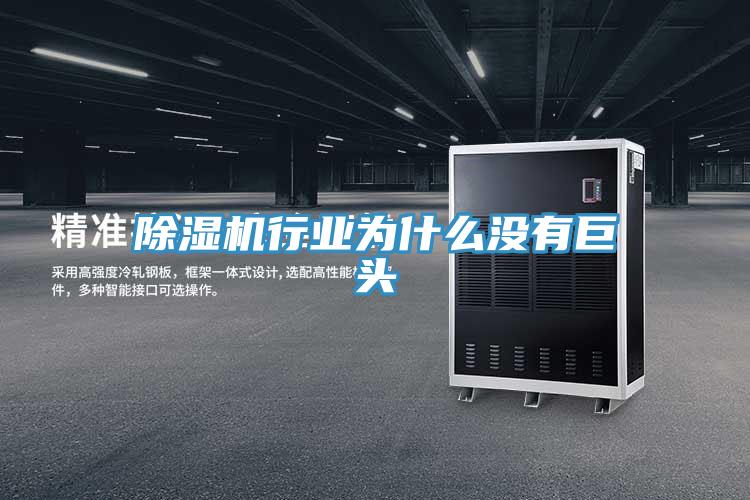 小黄片直播视频行业为什么没有巨头