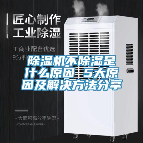小黄片直播视频不除湿是什么原因 5大原因及解决方法分享