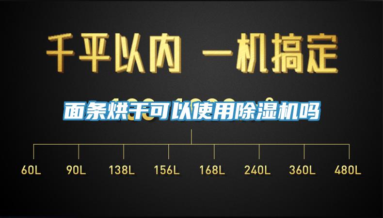 面条烘干可以使用小黄片直播视频吗