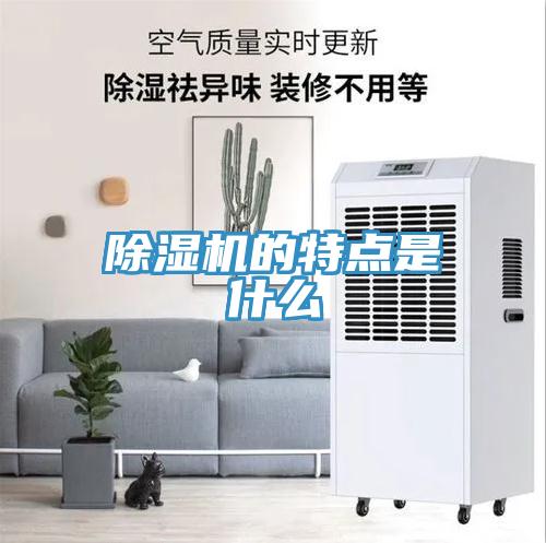 小黄片直播视频的特点是什么