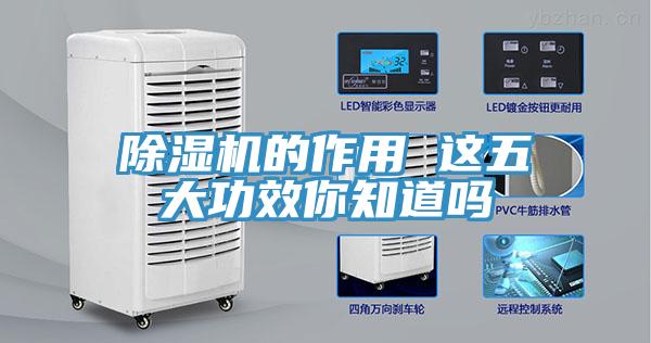 小黄片直播视频的作用 这五大功效你知道吗