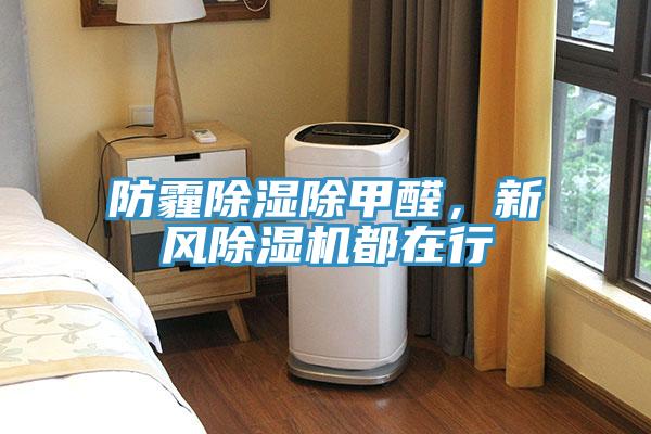 防霾除湿除甲醛，新风小黄片直播视频都在行