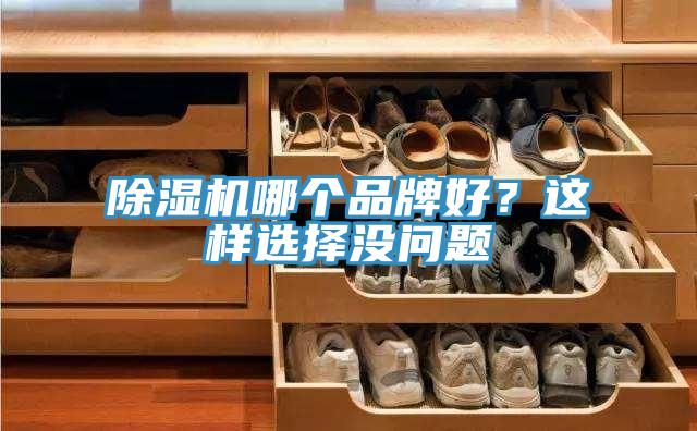 小黄片直播视频哪个品牌好？这样选择没问题