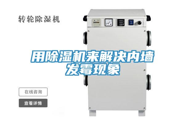 用小黄片直播视频来解决内墙发霉现象