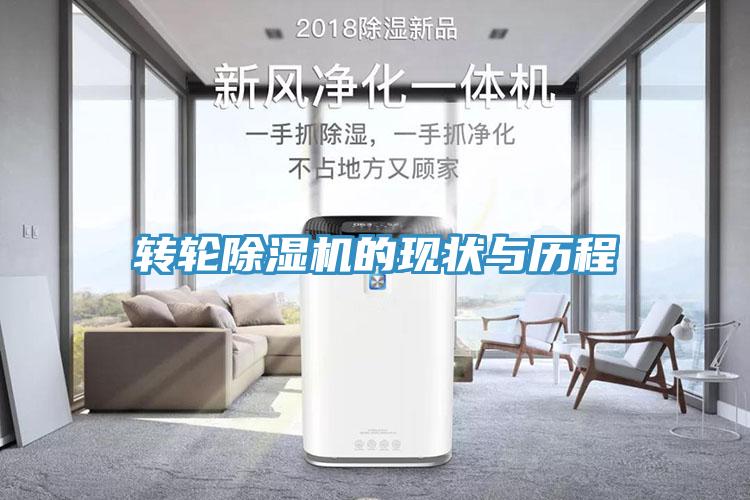 转轮小黄片直播视频的现状与历程