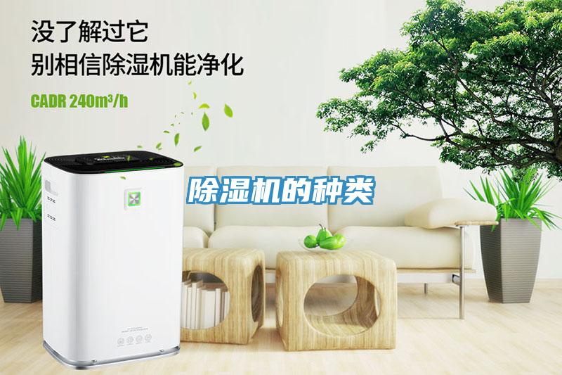 小黄片直播视频的种类