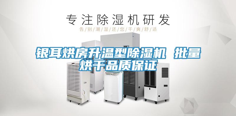 银耳烘房升温型小黄片直播视频 批量烘干品质保证