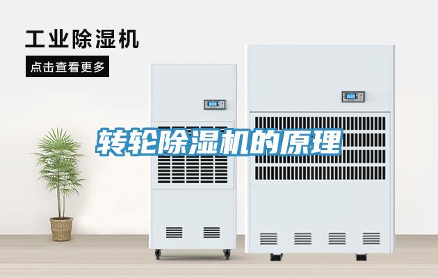 转轮小黄片直播视频的原理