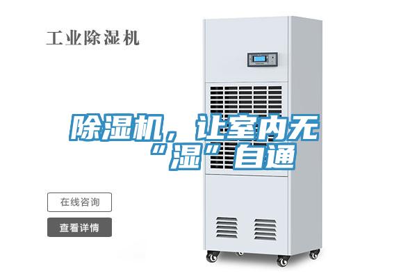 小黄片直播视频，让室内无“湿”自通
