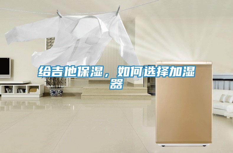 给吉他保湿，如何选择加湿器