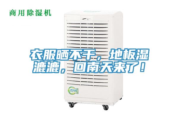 衣服晒不干，地板湿漉漉，回南天来了！