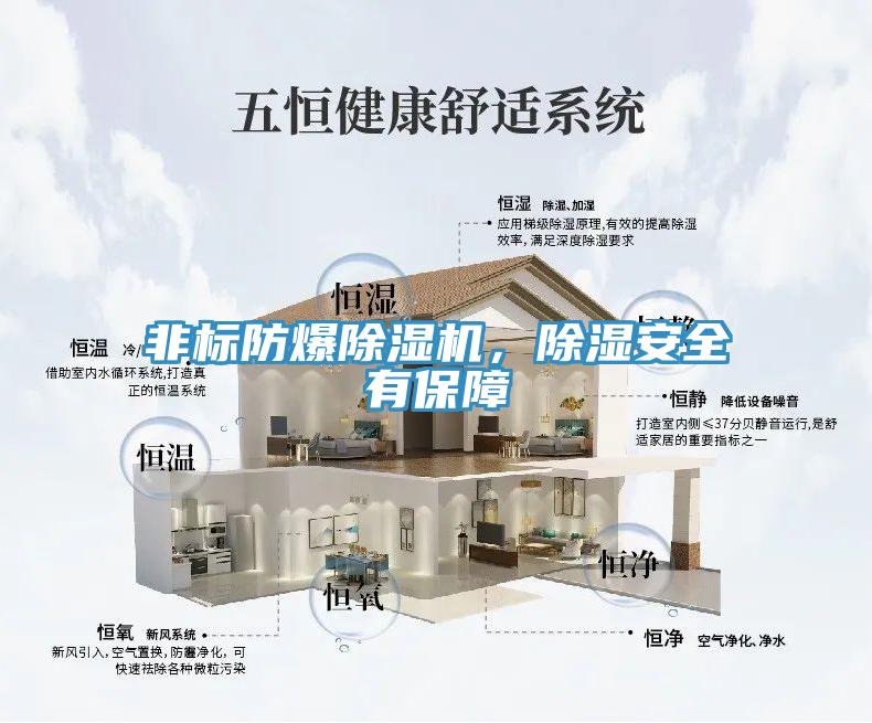 非标防爆小黄片直播视频，除湿安全有保障
