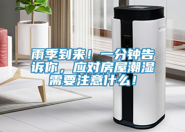 雨季到来！一分钟告诉你，应对房屋潮湿需要注意什么！