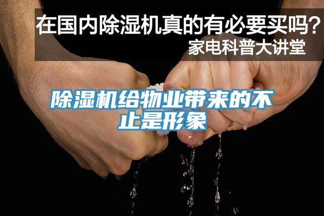 小黄片直播视频给物业带来的不止是形象