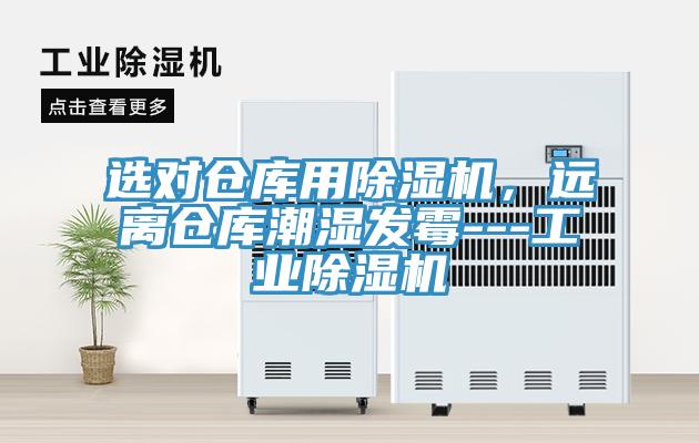 选对仓库用小黄片直播视频，远离仓库潮湿发霉---工业小黄片直播视频