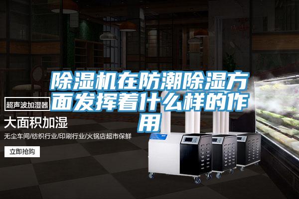 小黄片直播视频在防潮除湿方面发挥着什么样的作用