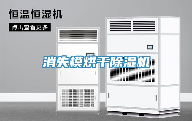消失模烘干小黄片直播视频