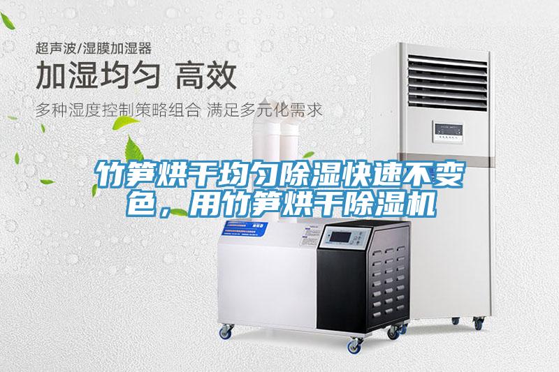 竹笋烘干均匀除湿快速不变色，用竹笋烘干小黄片直播视频