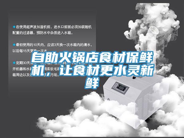 自助火锅店食材保鲜机，让食材更水灵新鲜