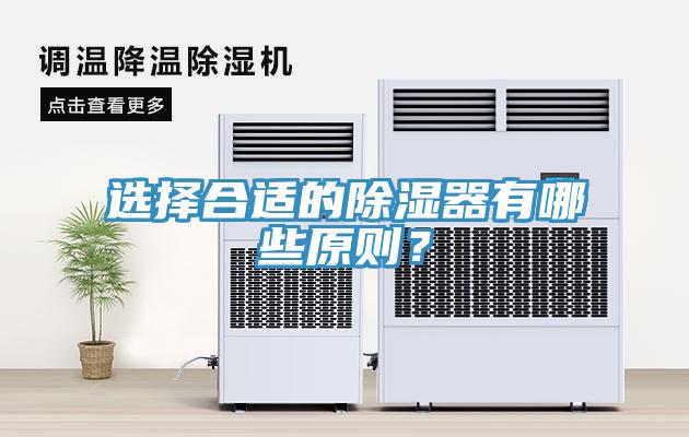 选择合适的除湿器有哪些原则？