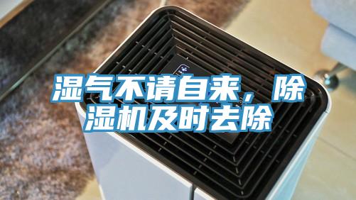 湿气不请自来，小黄片直播视频及时去除