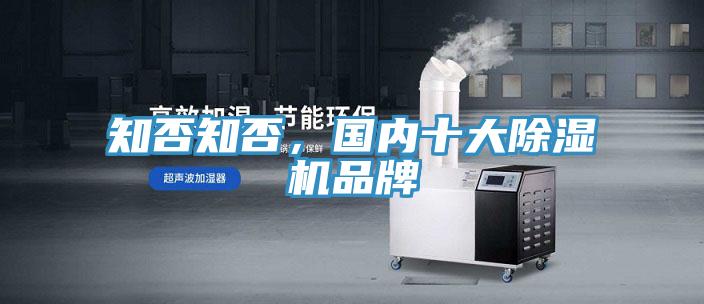 知否知否，国内十大小黄片直播视频品牌