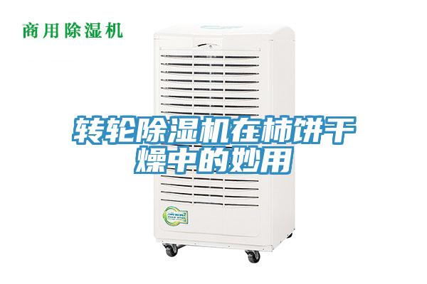 转轮小黄片直播视频在柿饼干燥中的妙用