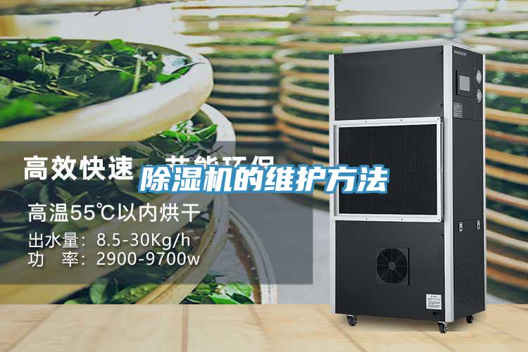 小黄片直播视频的维护方法