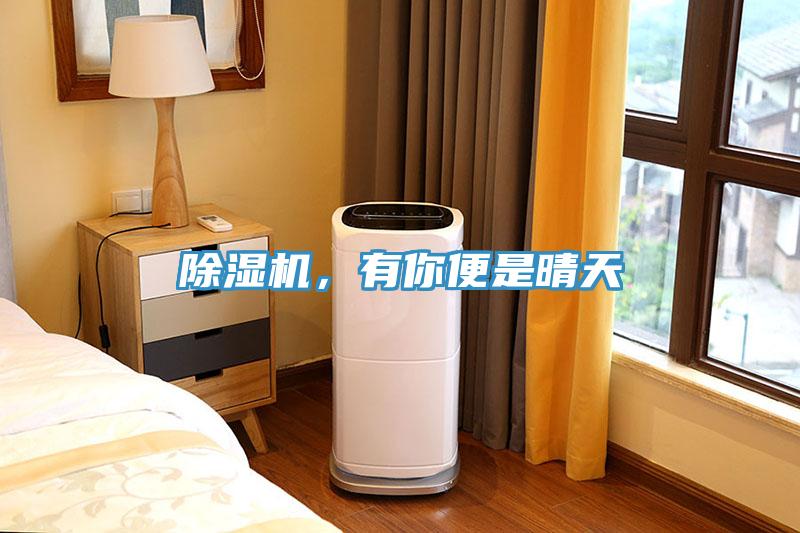 小黄片直播视频，有你便是晴天