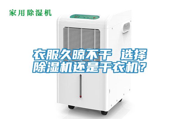 衣服久晾不干 选择小黄片直播视频还是干衣机？