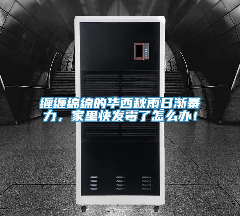 缠缠绵绵的华西秋雨日渐暴力，家里快发霉了怎么办！