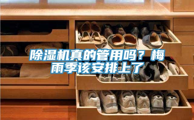 小黄片直播视频真的管用吗？梅雨季该安排上了