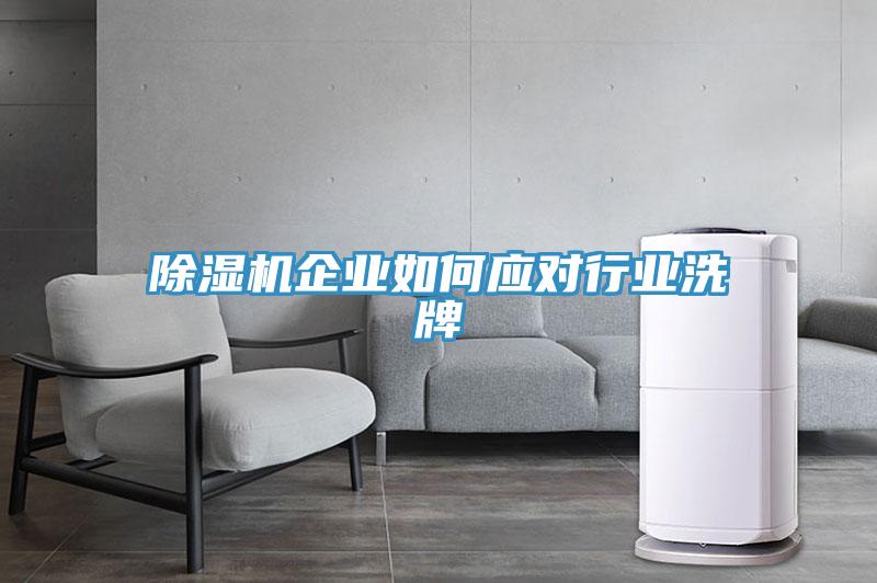 小黄片直播视频企业如何应对行业洗牌