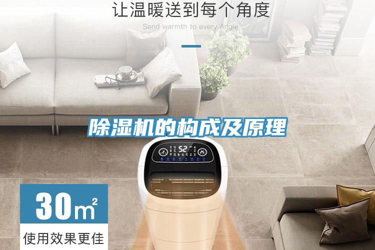 小黄片直播视频的构成及原理
