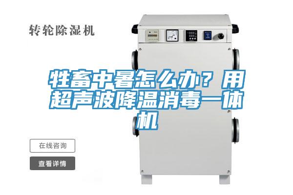 牲畜中暑怎么办？用超声波降温消毒一体机