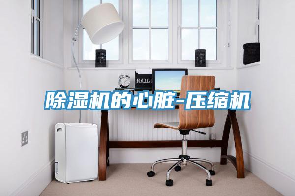 小黄片直播视频的心脏-压缩机