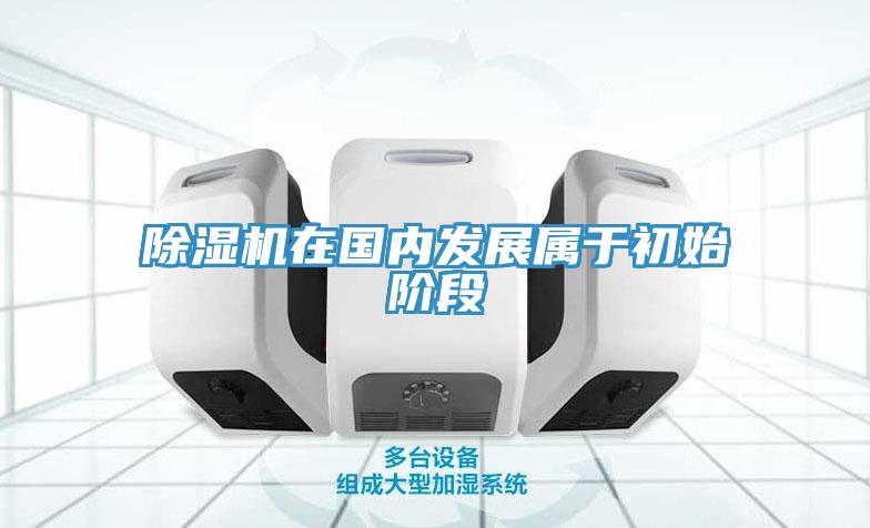 小黄片直播视频在国内发展属于初始阶段