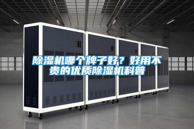小黄片直播视频哪个牌子好？好用不贵的优质小黄片直播视频科普