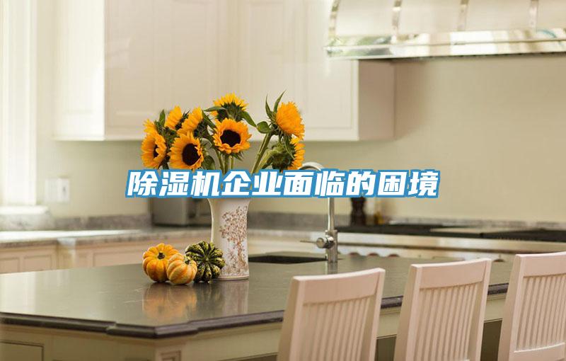 小黄片直播视频企业面临的困境