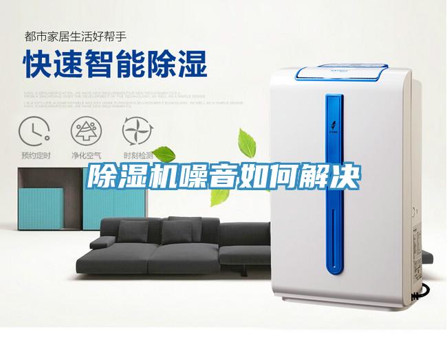 小黄片直播视频噪音如何解决