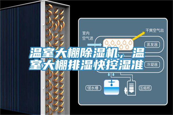 温室大棚小黄片直播视频，温室大棚排湿快控湿准