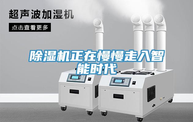 小黄片直播视频正在慢慢走入智能时代