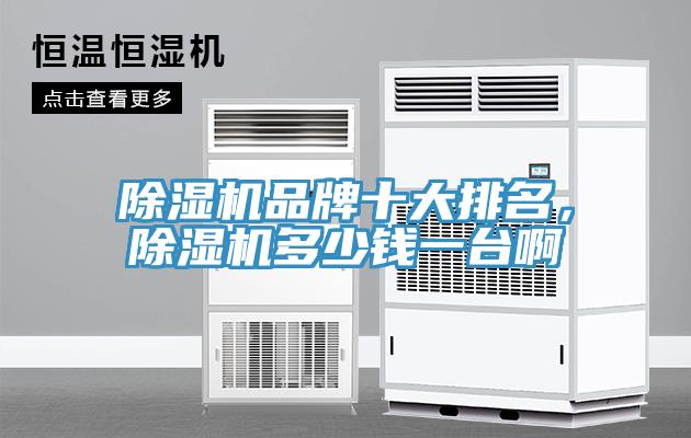 小黄片直播视频品牌十大排名，小黄片直播视频多少钱一台啊