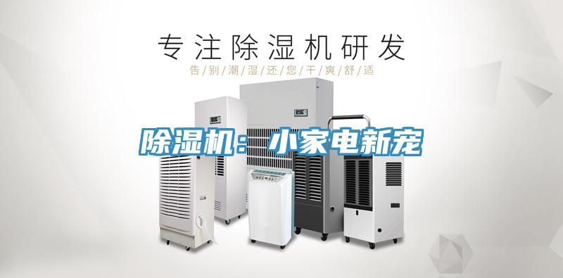 小黄片直播视频：小家电新宠